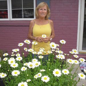 Meet your Posher, Donna